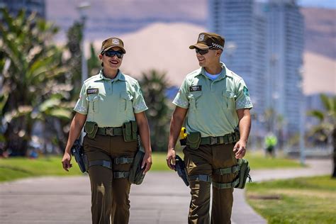 que se necesita para ser carabinero